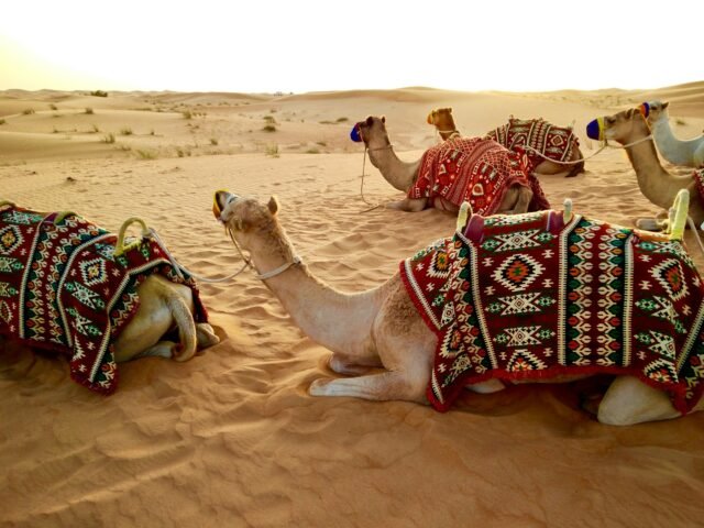 Desert Safari Abu Dhabi – photo 2