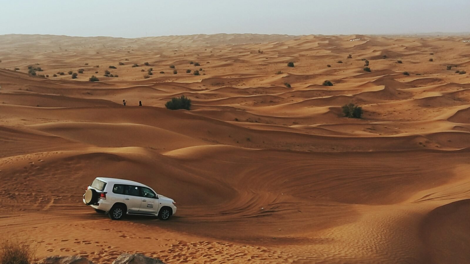 Desert Safari with Dinner In Ras Al Khaimah – photo 1