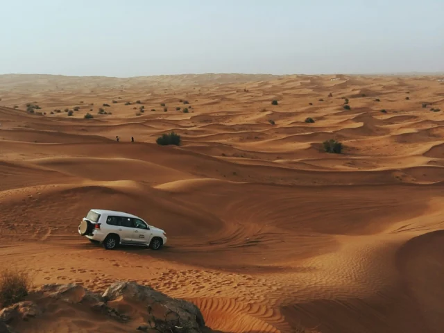 Desert Safari with Dinner In Ras Al Khaimah