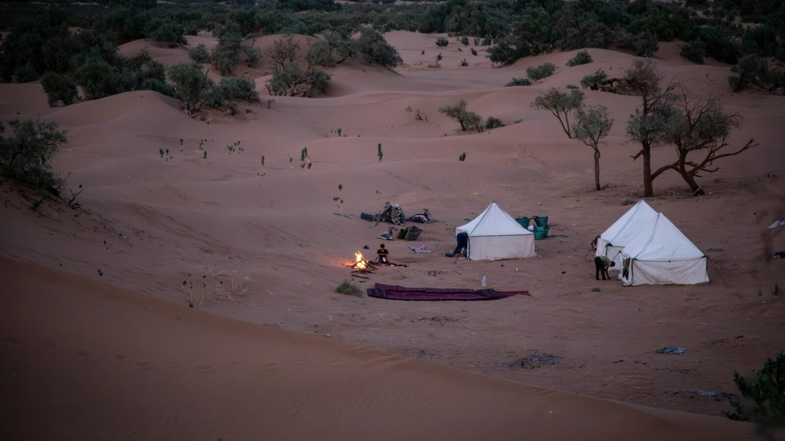 Dinner in Desert Ras Al Khaimah – photo 1