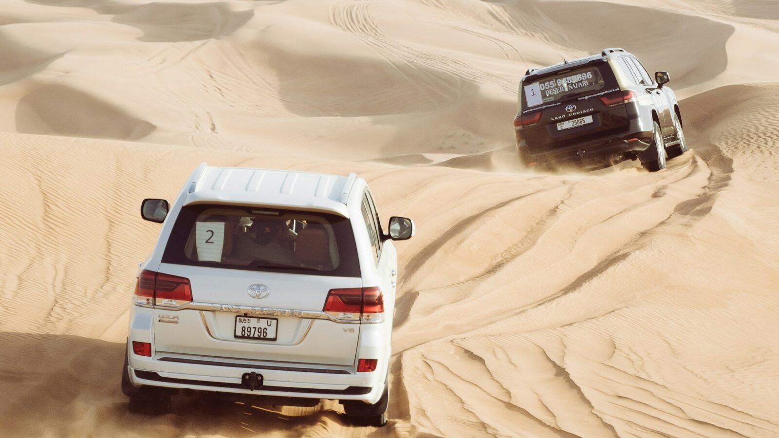 Mega Safari with Dinner In Ras Al Khaimah – photo 1