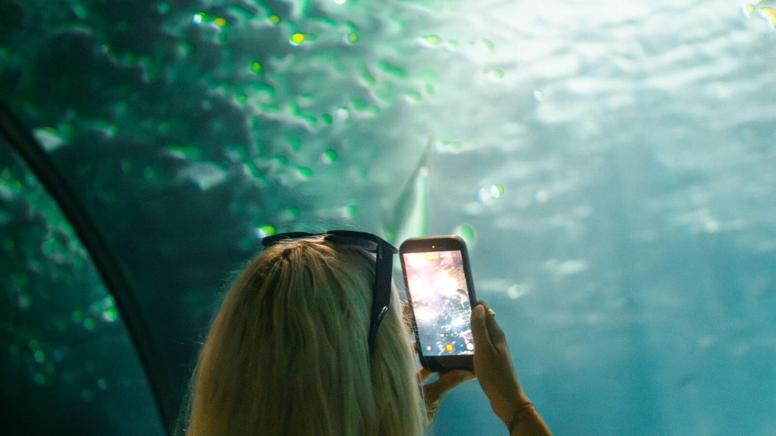The National Aquarium Abu Dhabi – photo 1