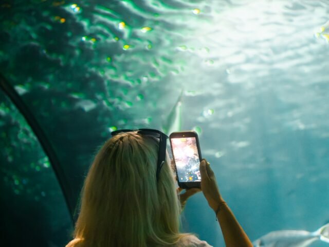The National Aquarium Abu Dhabi